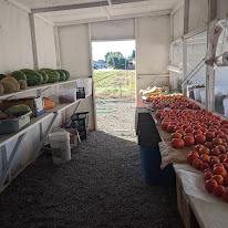 farm stand